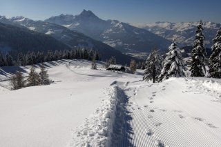 Une initiative populaire veut épargner le plateau de Frience du tourisme de masse (photo d'illustration). KEYSTONE/JEAN-CHRISTOPHE BOTT